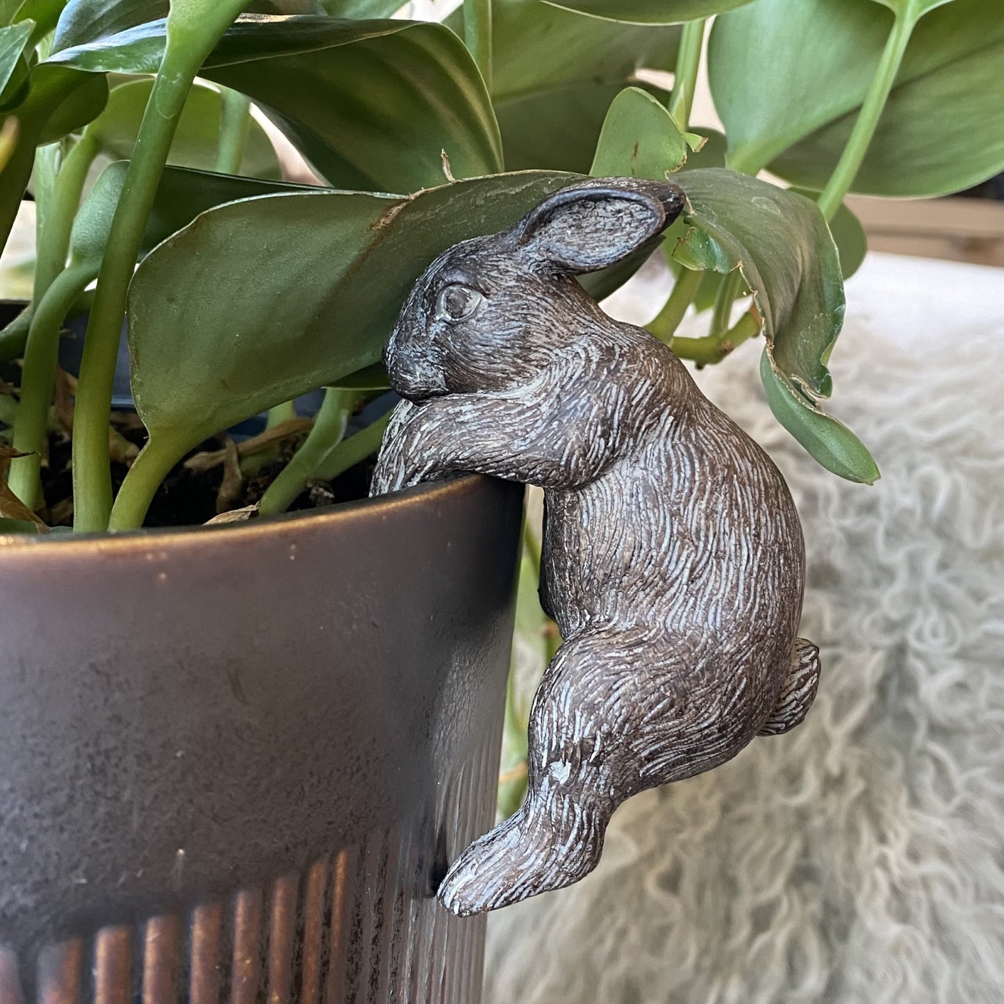 Hanging Bunny