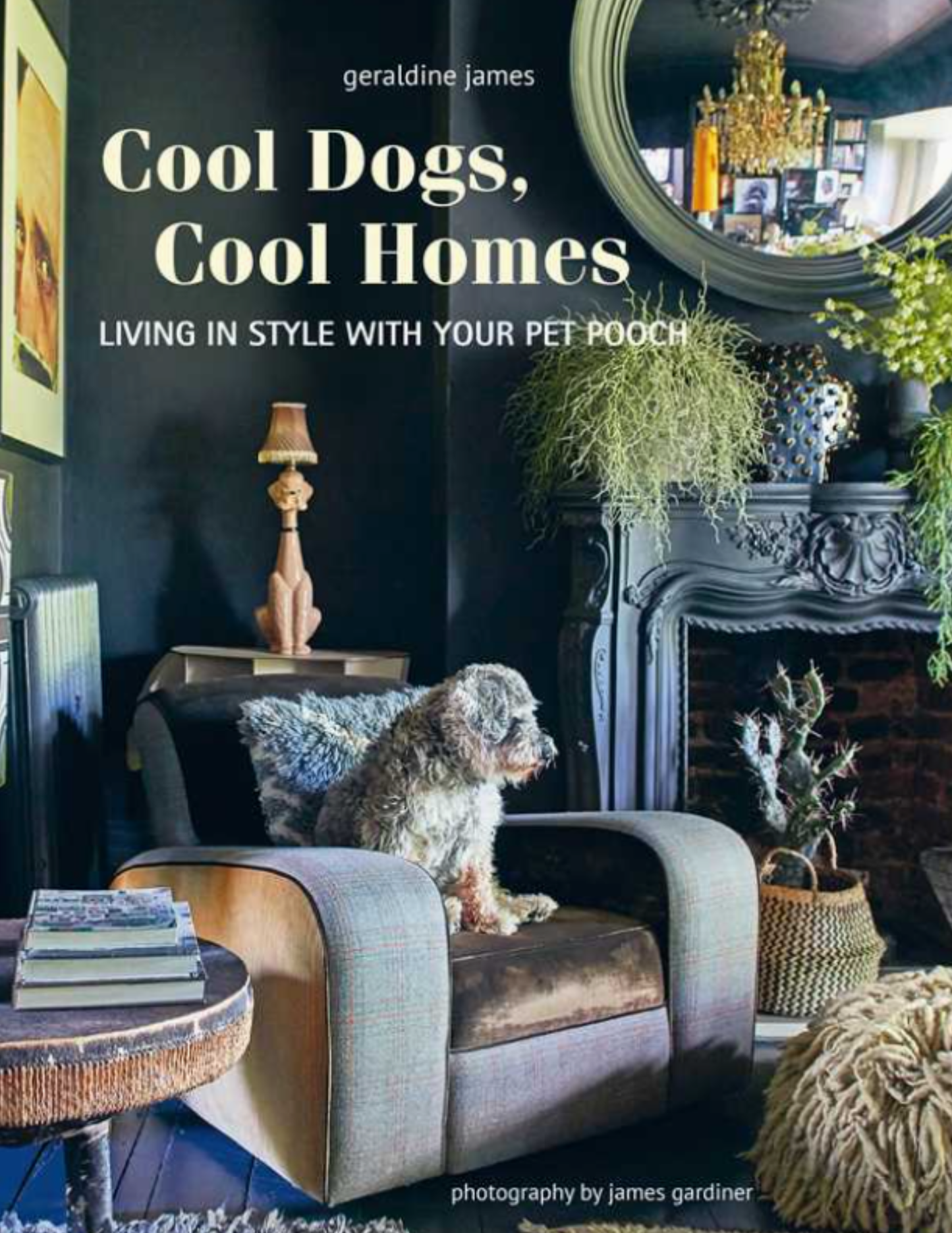 Cool Dogs, Cool Homes