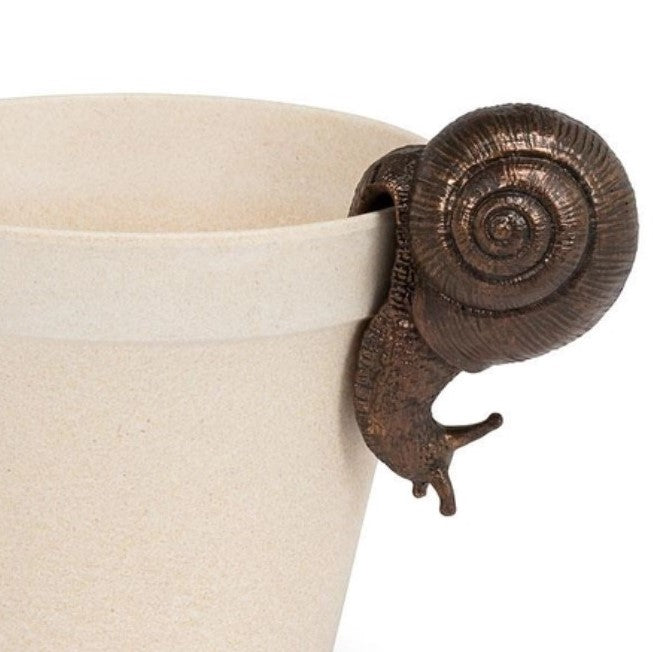 Hanging Snail