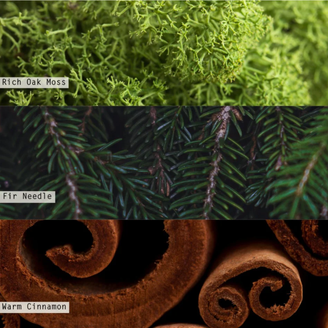 Balsam & Cedar Radiant Glass Candle