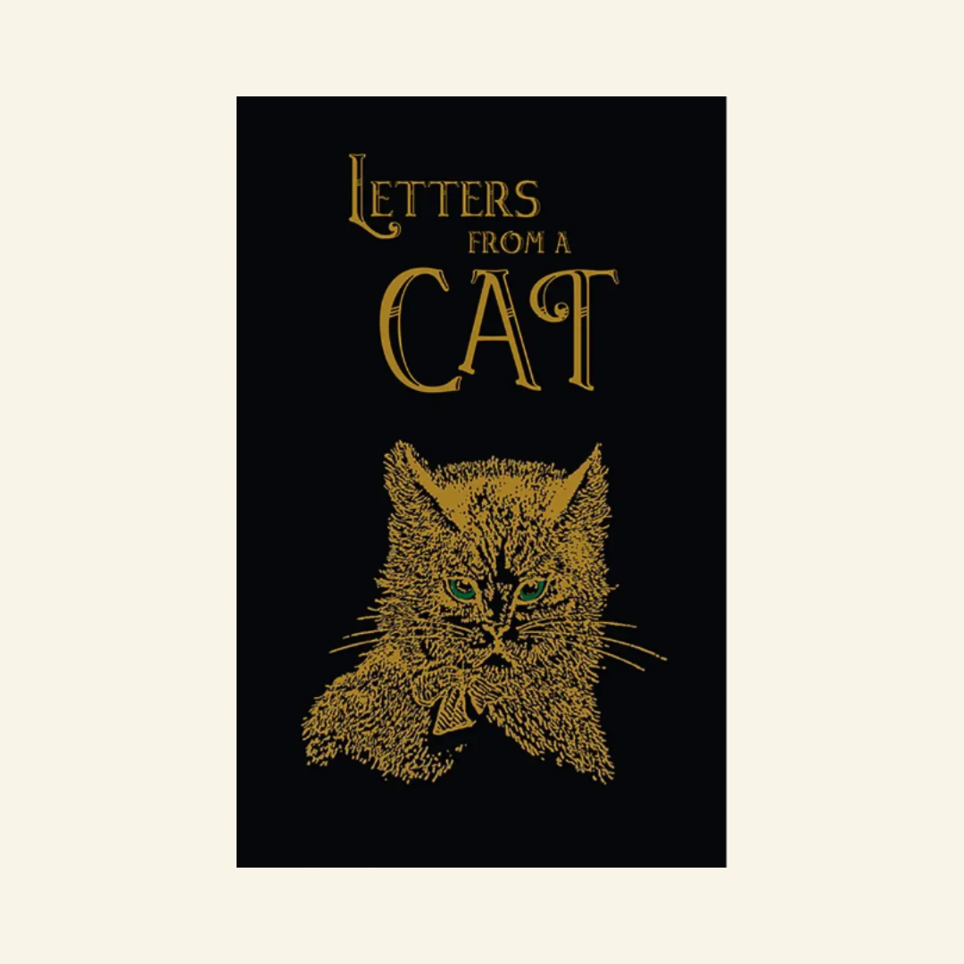 Letters from A Cat