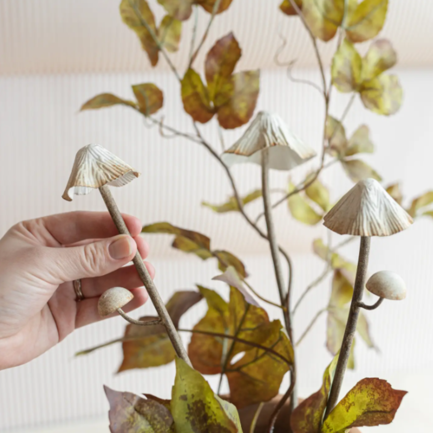 Mushroom Stems