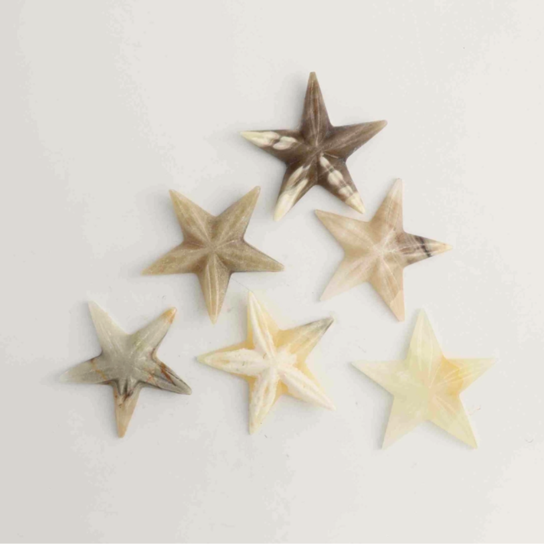 Onyx Starfish