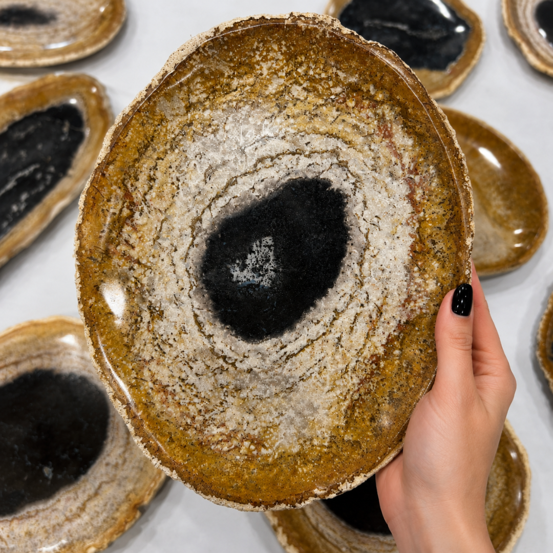 Natural Palm Root Tray