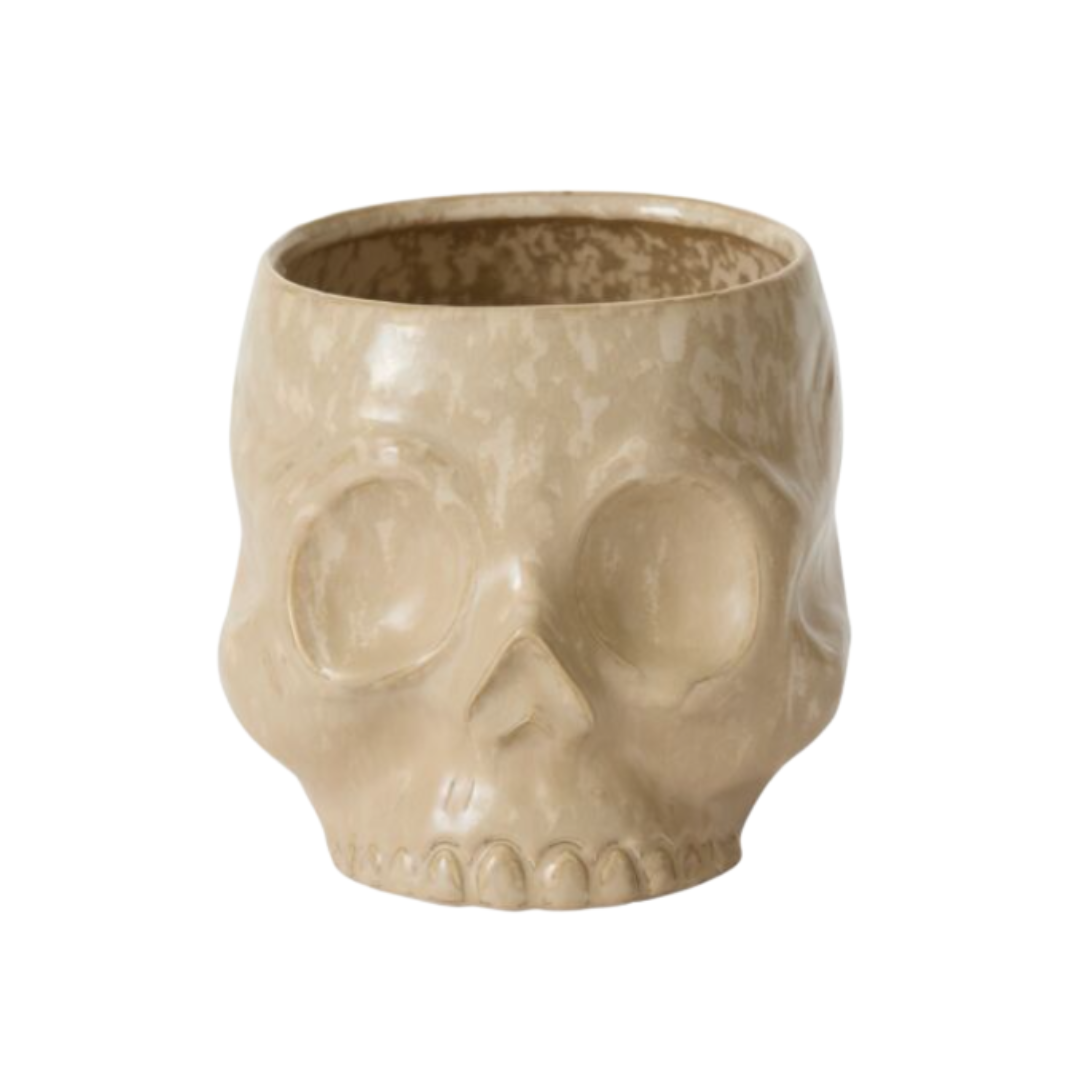 Skull Cachepot