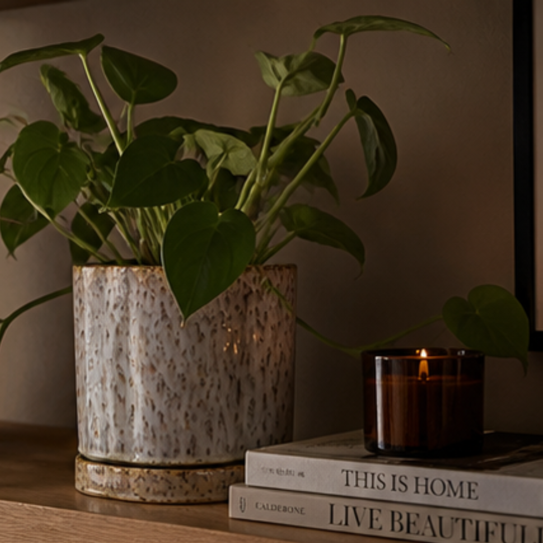 Eveline Planter