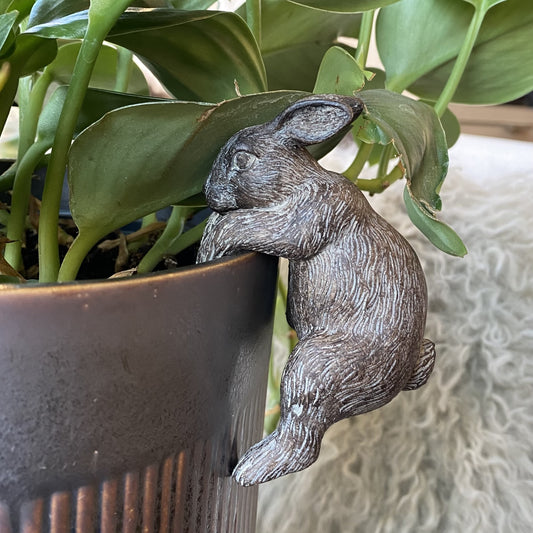 Hanging Bunny