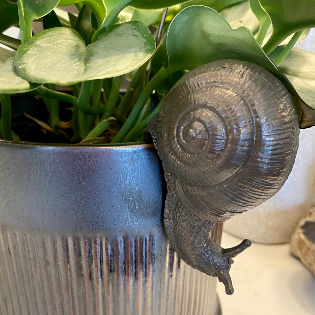 Hanging Snail