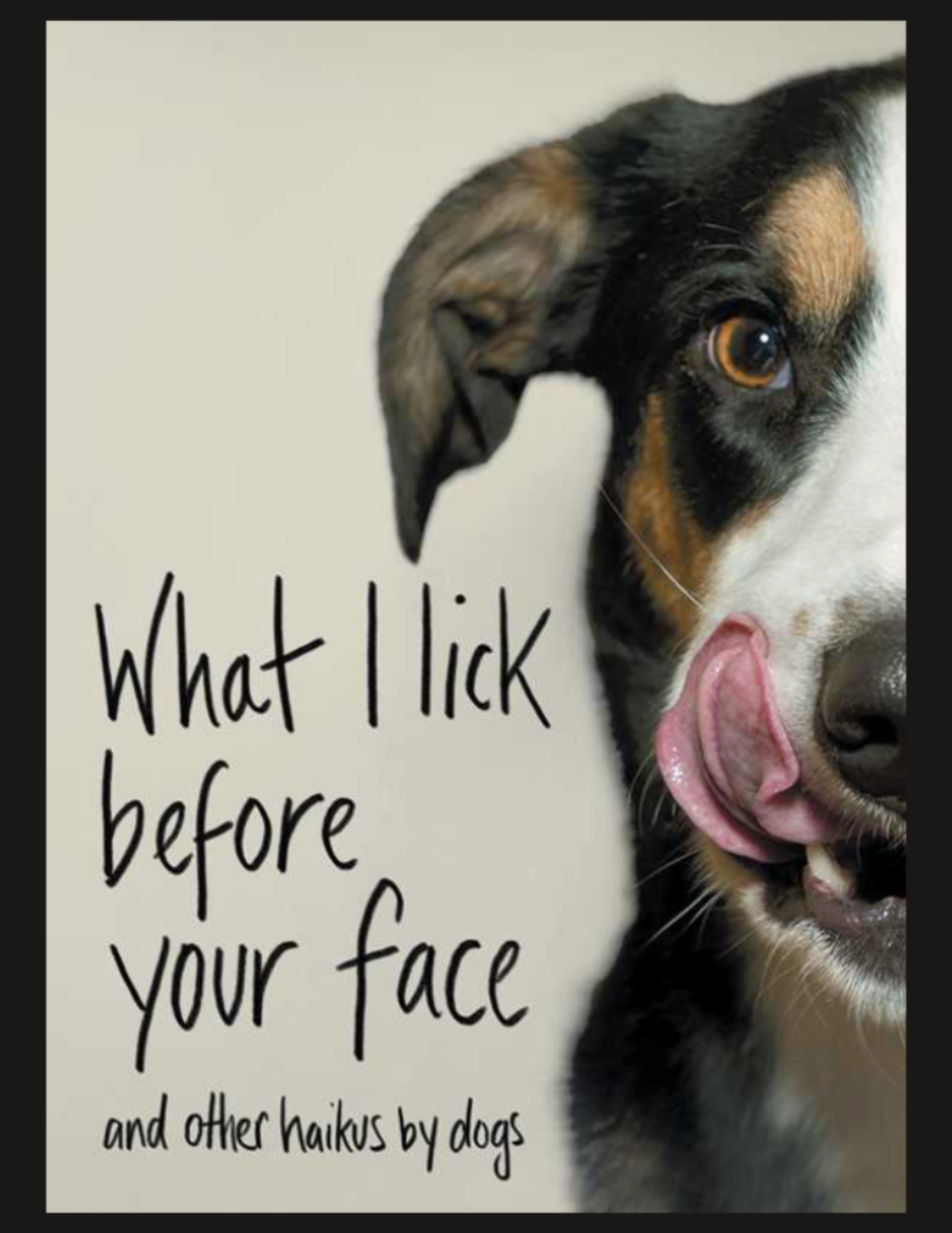 What I Lick Before Your Face