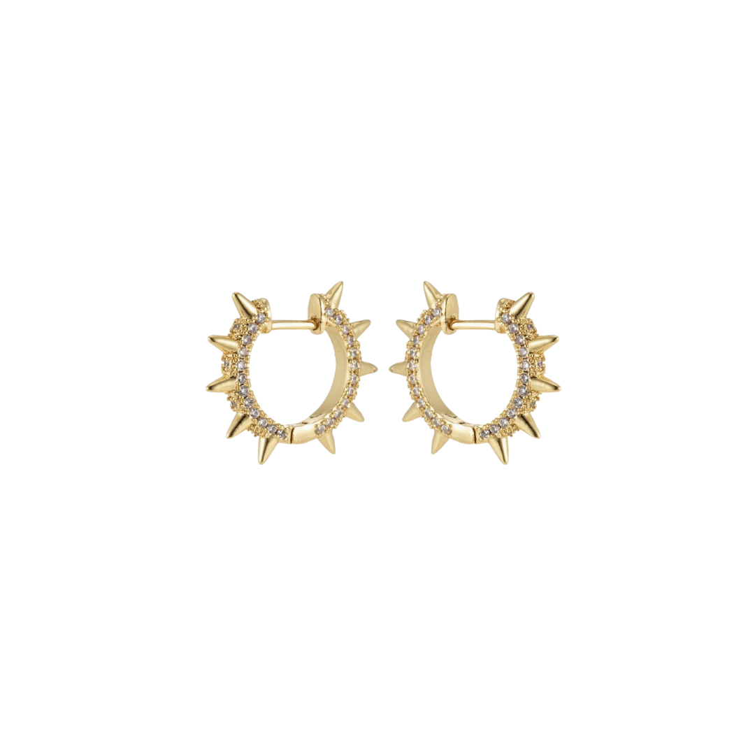 Ciara Hoops