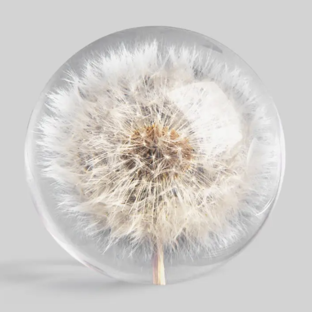 Botanical Paperweight