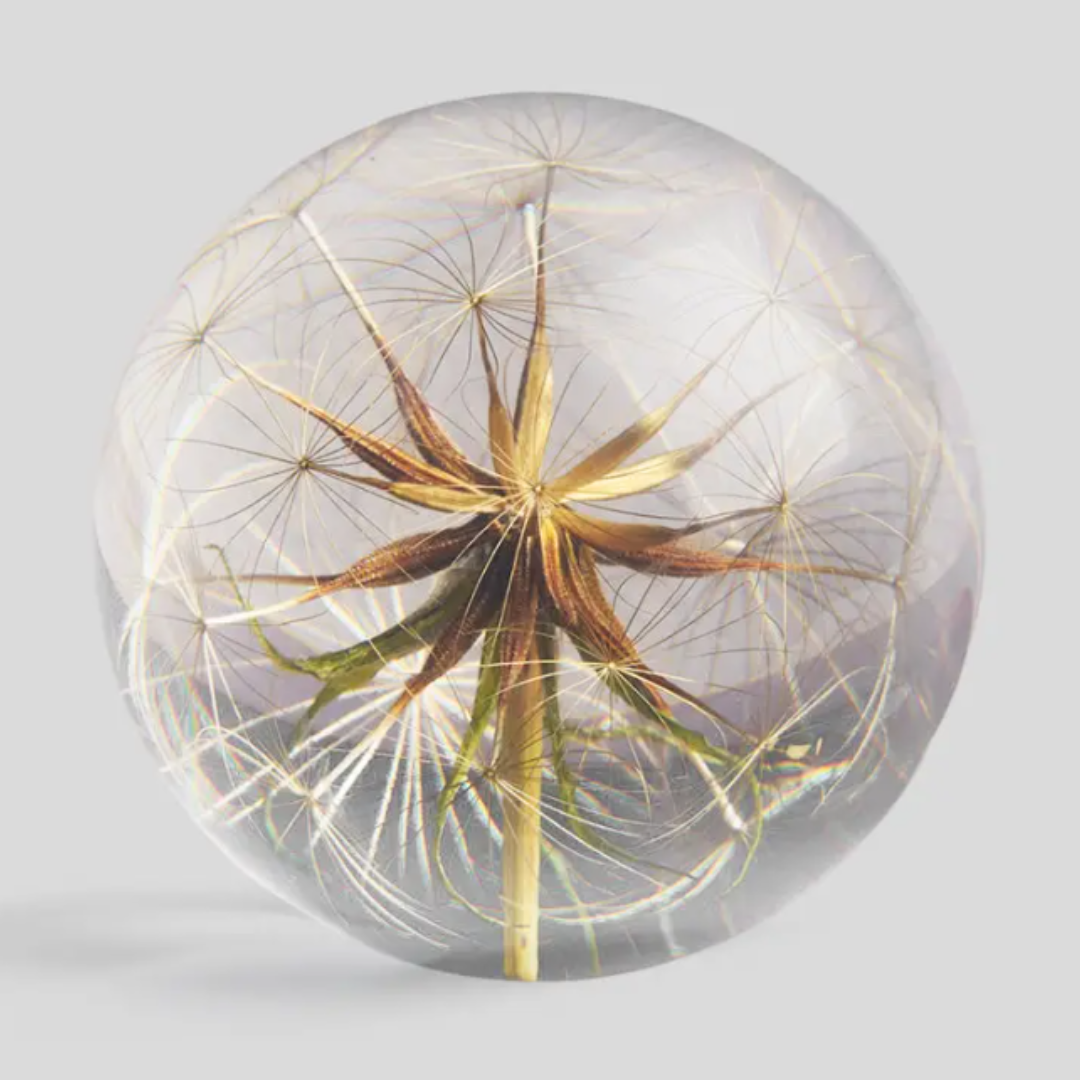 Botanical Paperweight