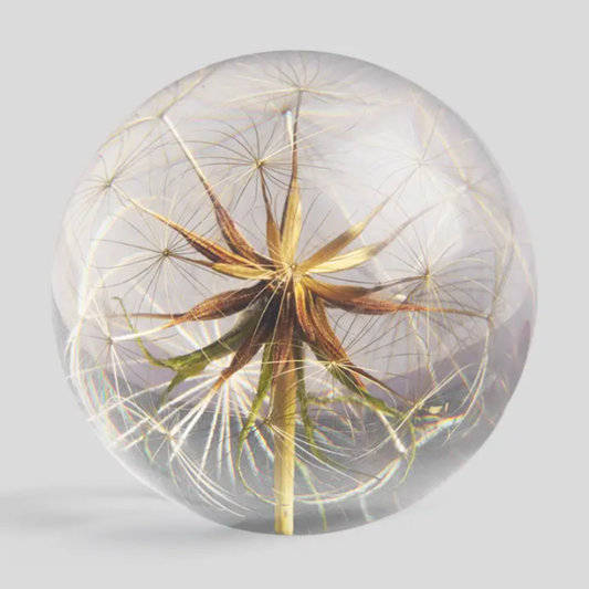 Botanical Paperweight