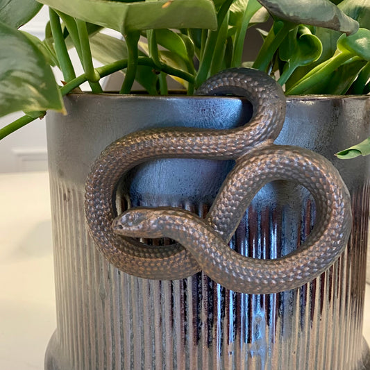Hanging Snake