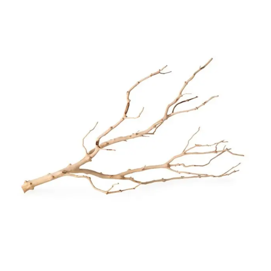 Manzanita Branch