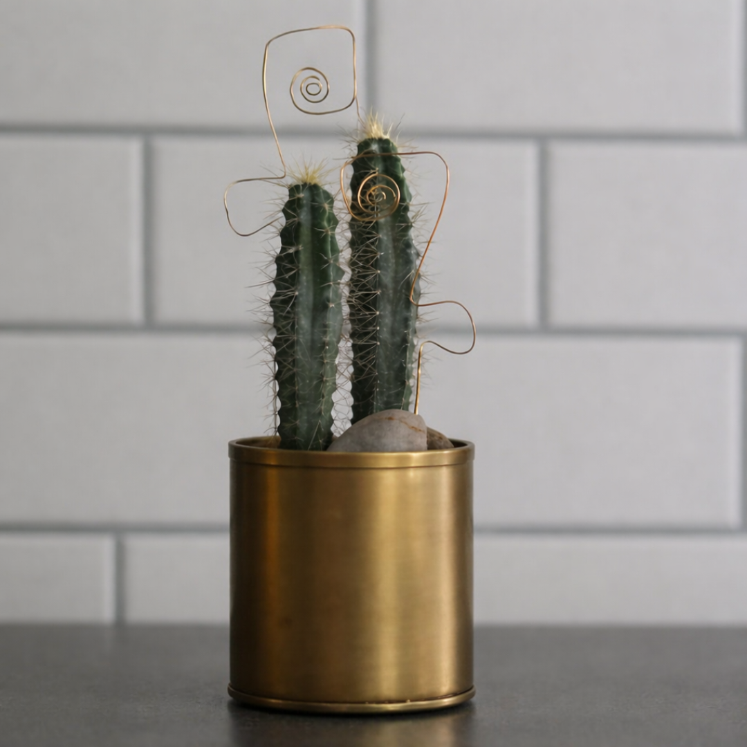 Nia Planter