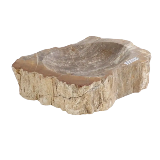 Petrified Wood Dish