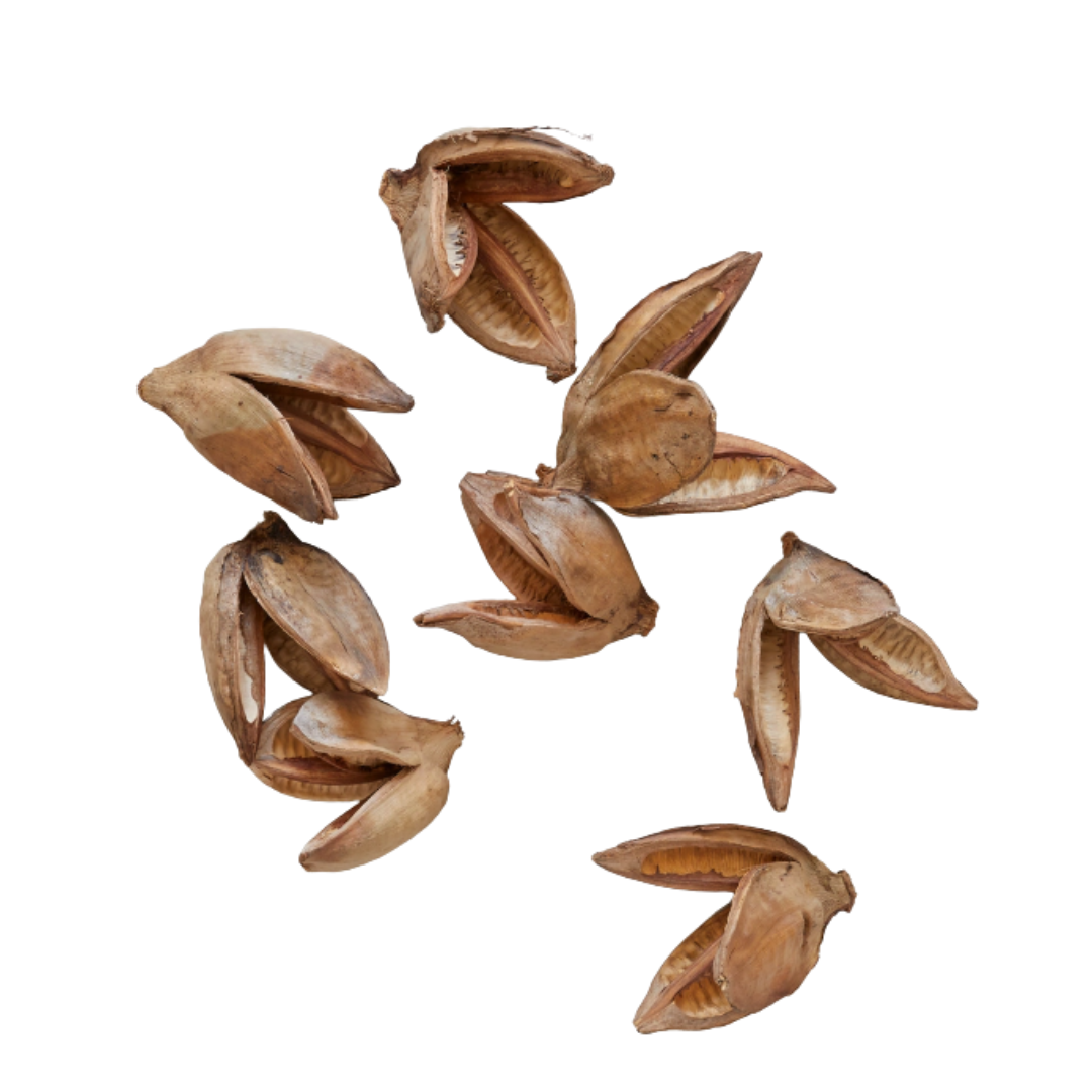 Sora Pods
