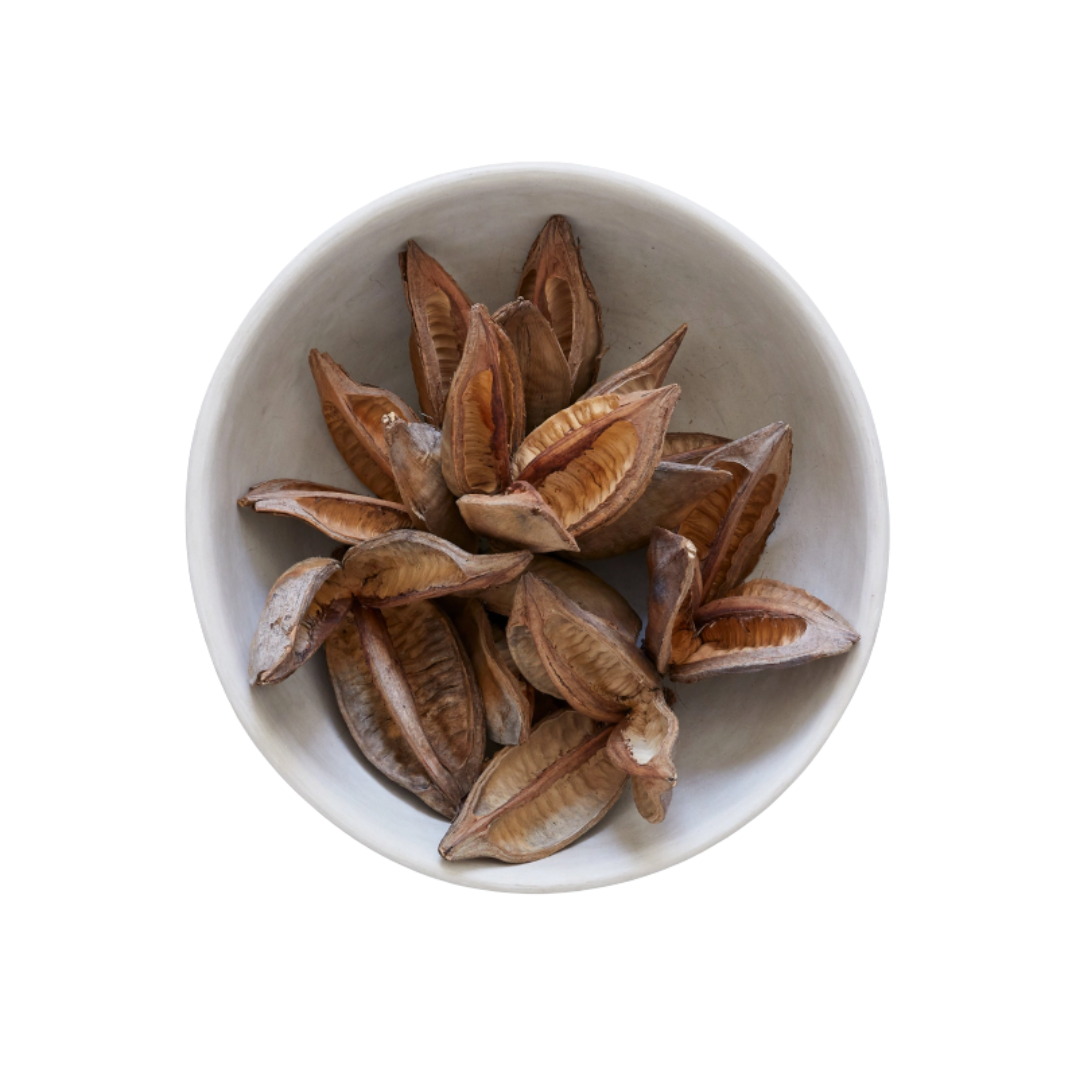 Sora Pods