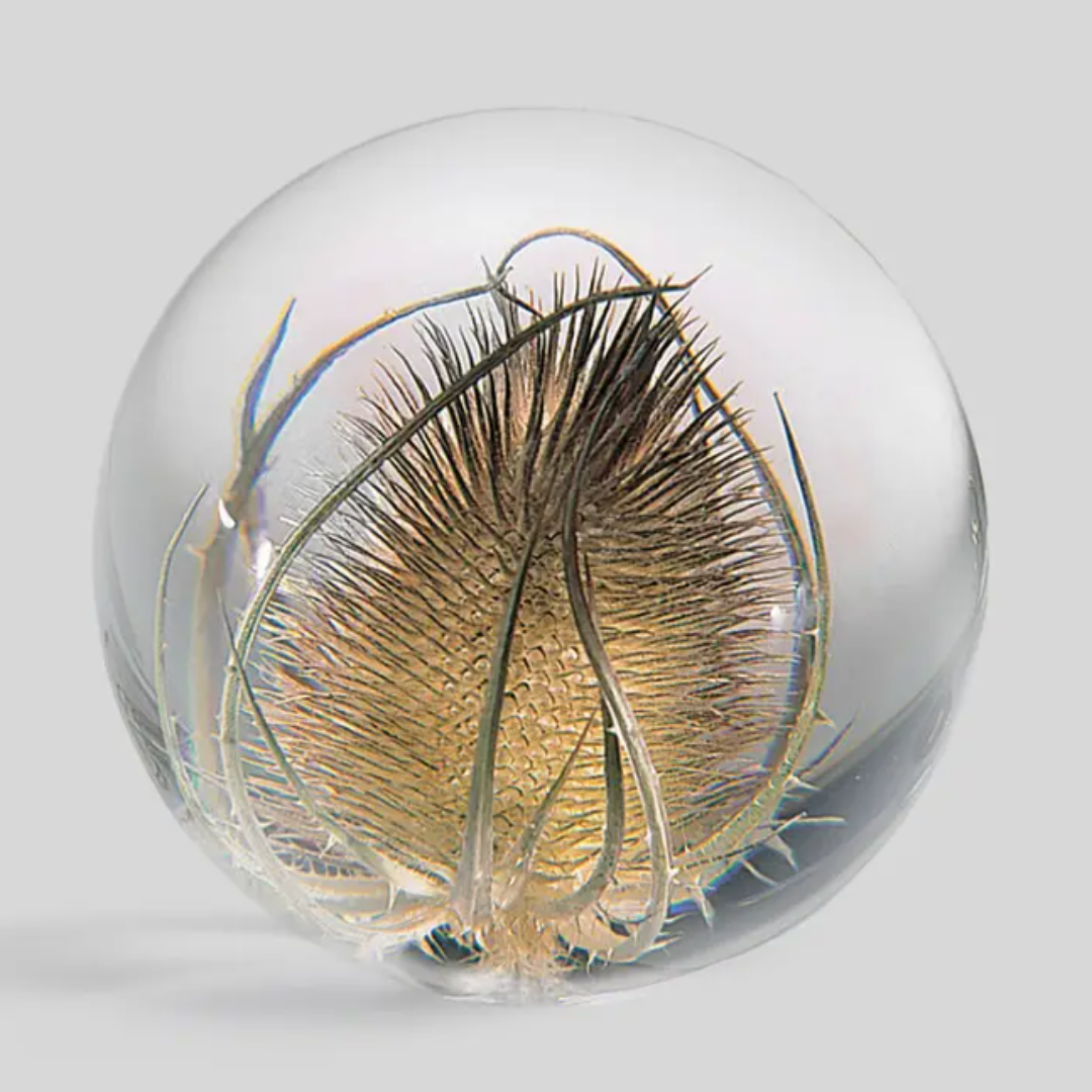 Botanical Paperweight