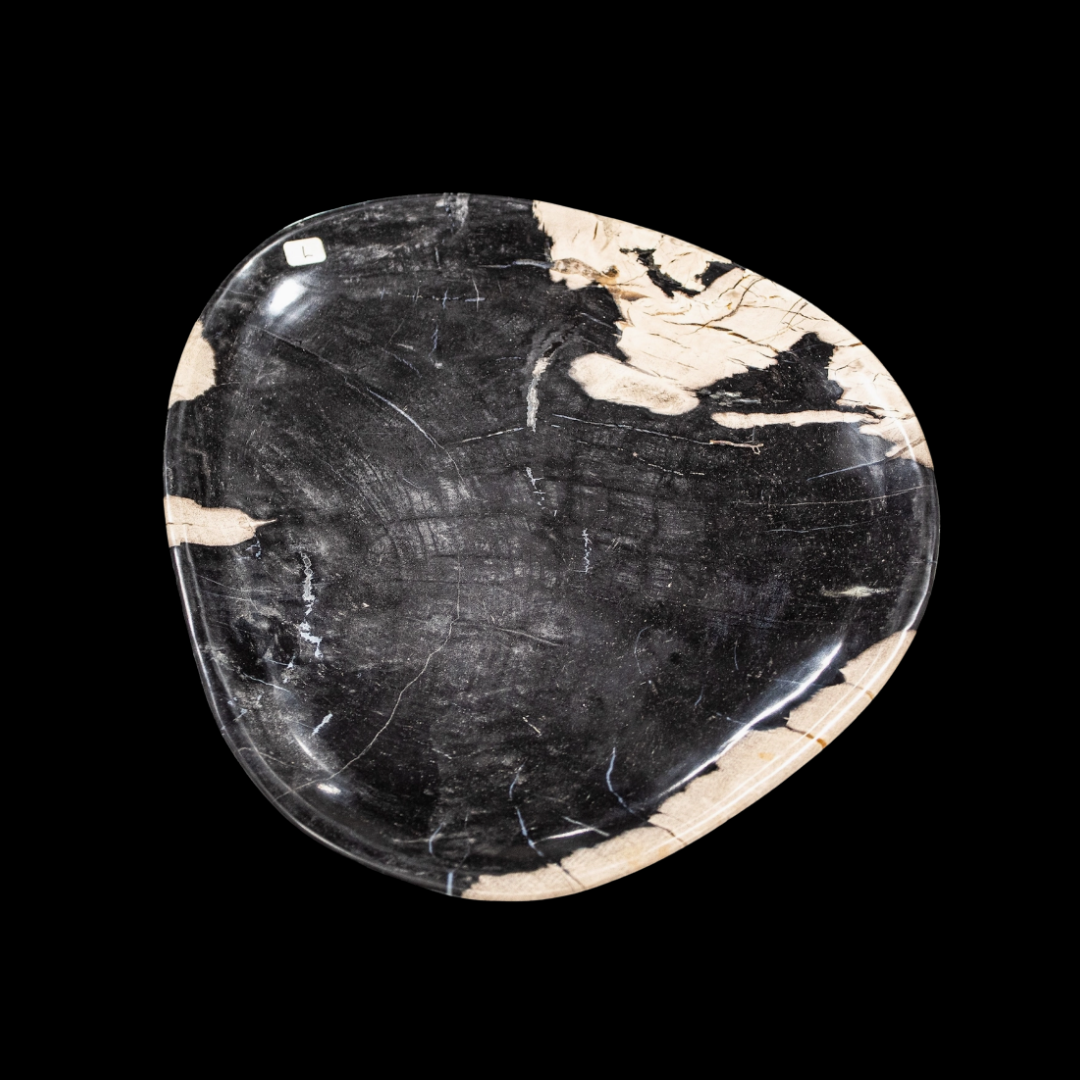 Petrified Wood Plate
