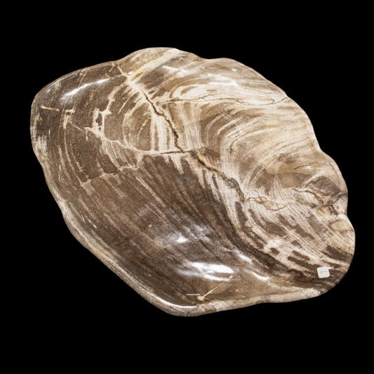 Petrified Wood Plate