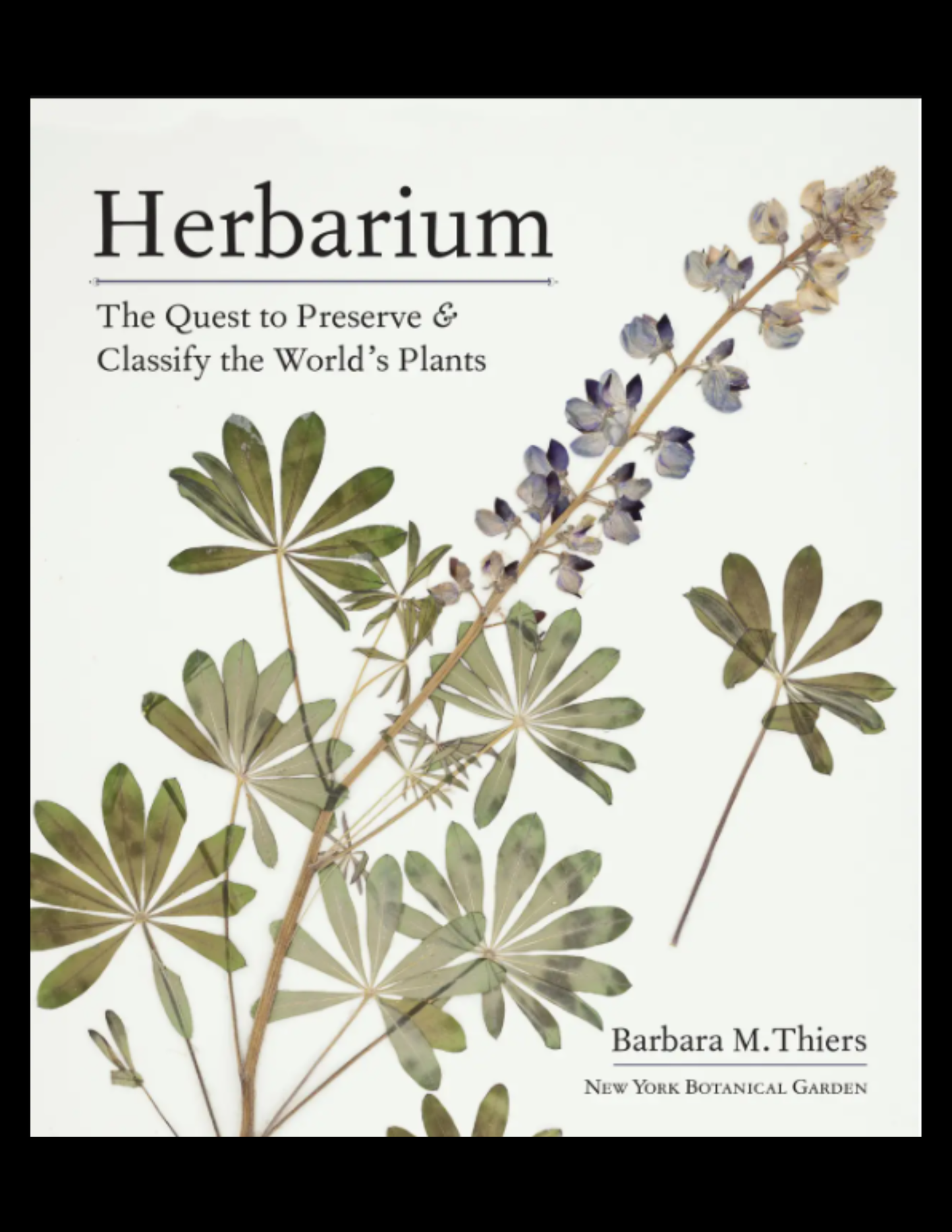 Herbarium