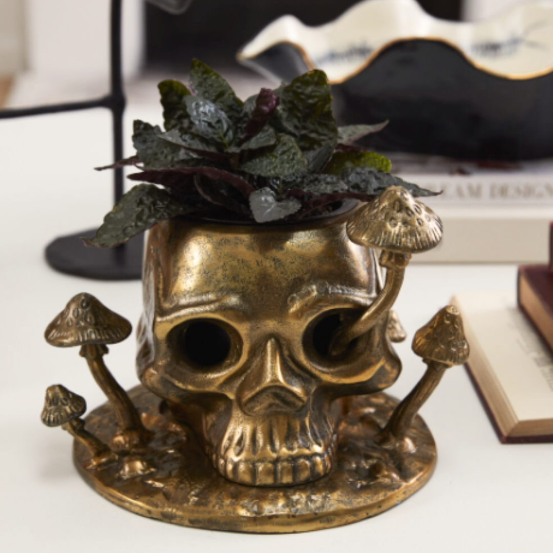 Cranium Planter