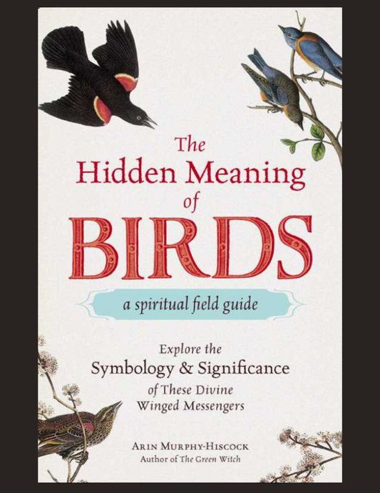 Hidden Meaning of Birds