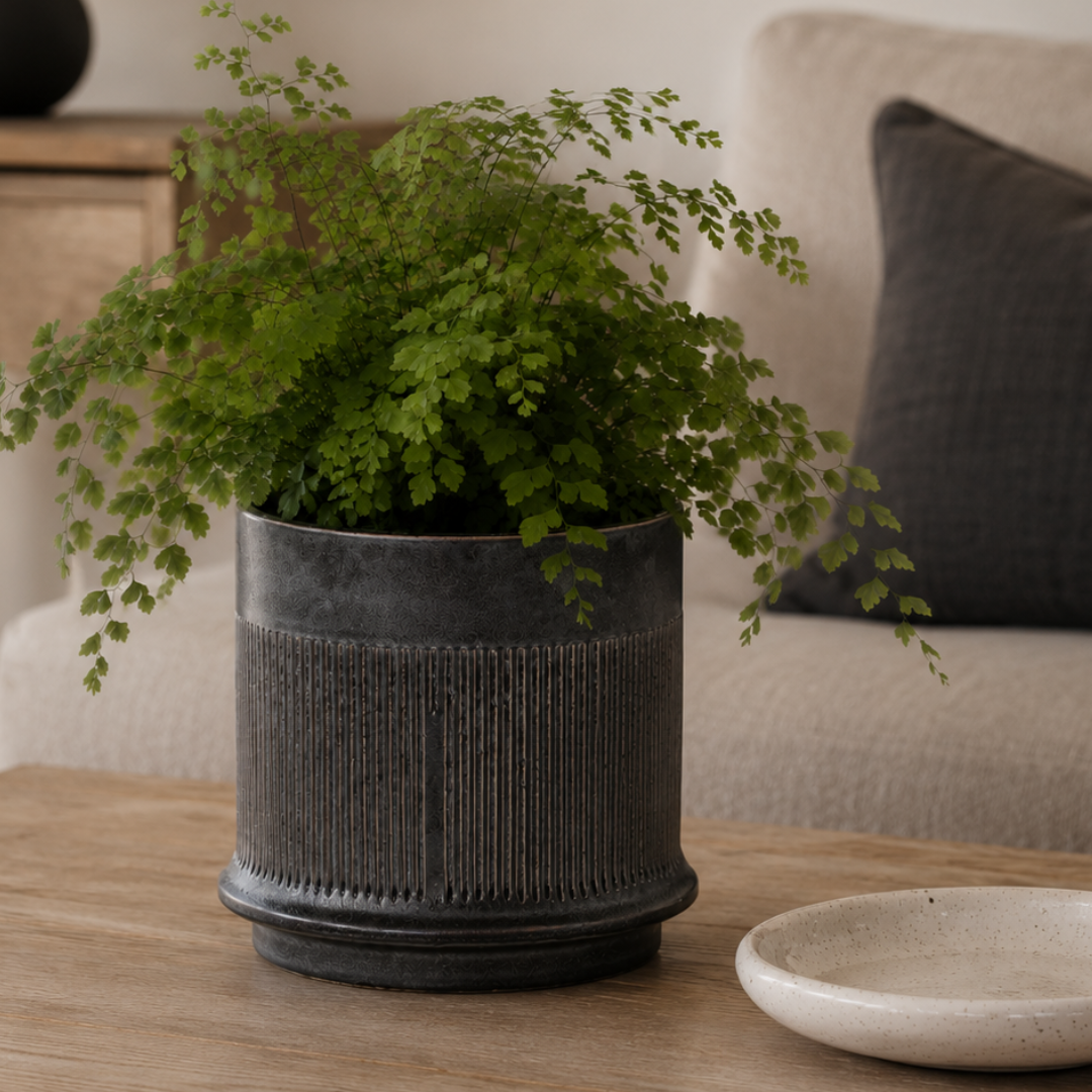 Westcott  Pot