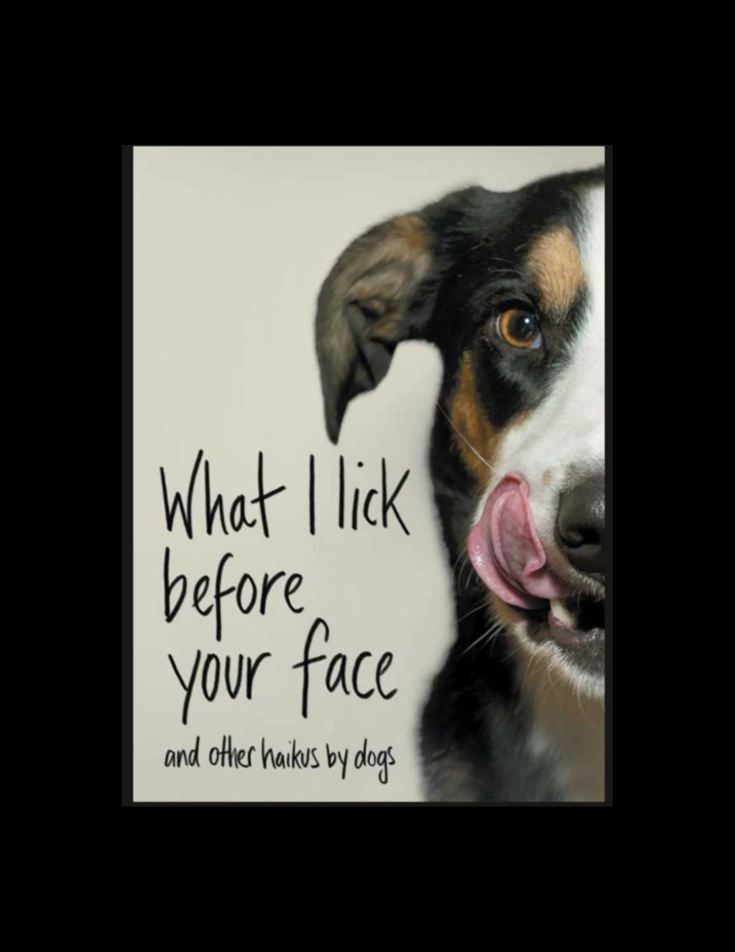 What I Lick Before Your Face
